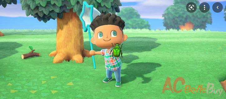 Animal Crossing New Horizons Bugs